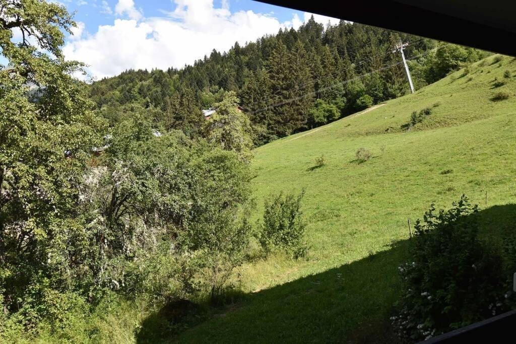 Les Cimes, Chaleureux Studio 4 Pers, 50M Du Telecabine, Vue Degagee Sur Les Pistes, Draps Non Compris แซงต์-ฌ็อง-โดลป์ ภายนอก รูปภาพ